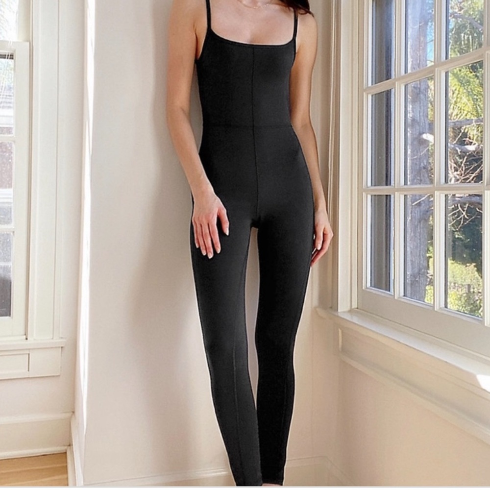 Aritzia Divinity Jumpsuit